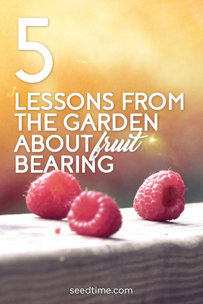 5 lessons from the garden about fruit bearing