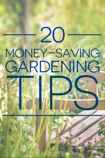 20 gardening tips from Pinterest for those on a budget