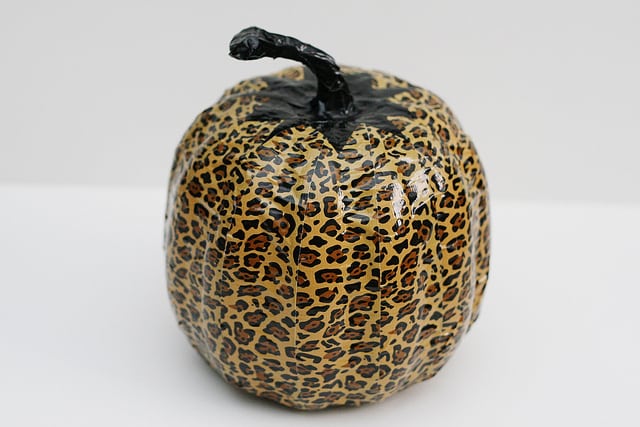 leopard print pumpkin