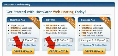 picking hosting package from hostgator