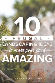 10 Frugal Landscaping Ideas - save money making your yard beautiful!