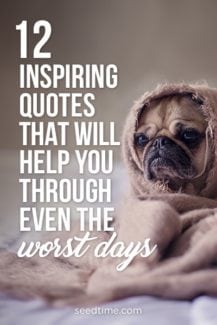 12 inspiring quotes that will help you through even the worst days