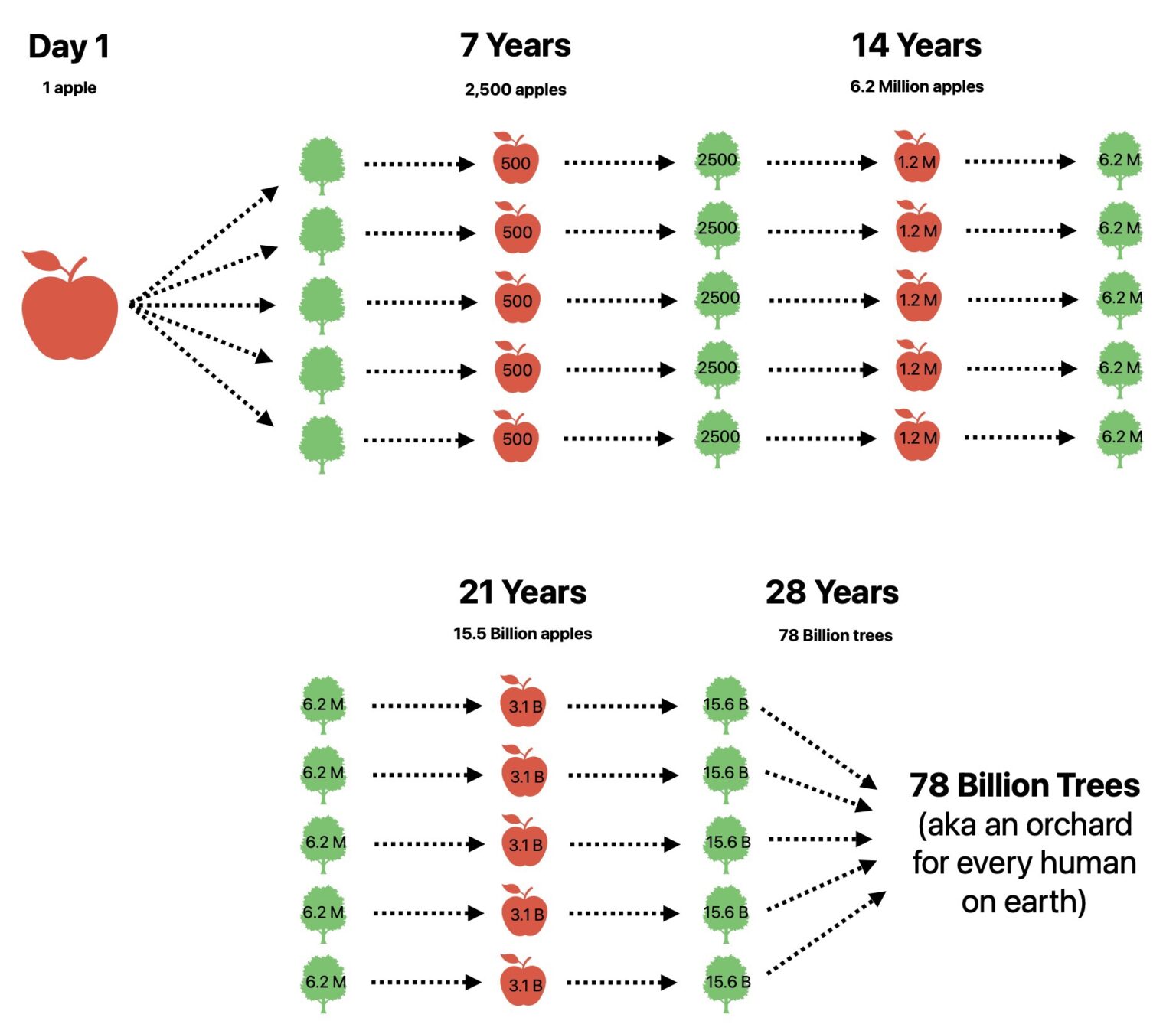 How to feed the entire world from just one apple (in 28 years)