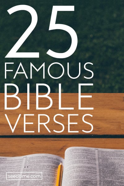 25 Famous Bible Verses (Top Scriptures On Love, Strength, Hope & More)