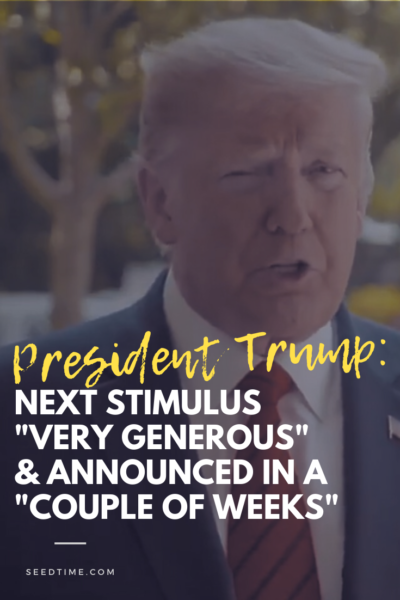 President Trump says the next stimulus will be "very generous" and announced "in a couple of weeks".