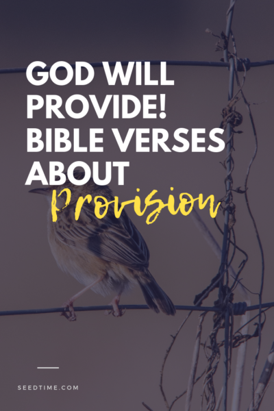 Bible Verses about Provision