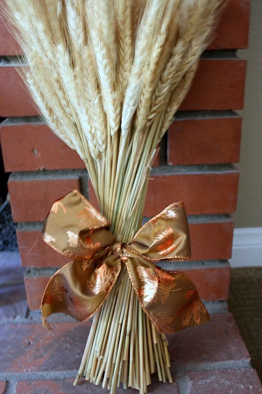 stalks of wheat tied with a bow