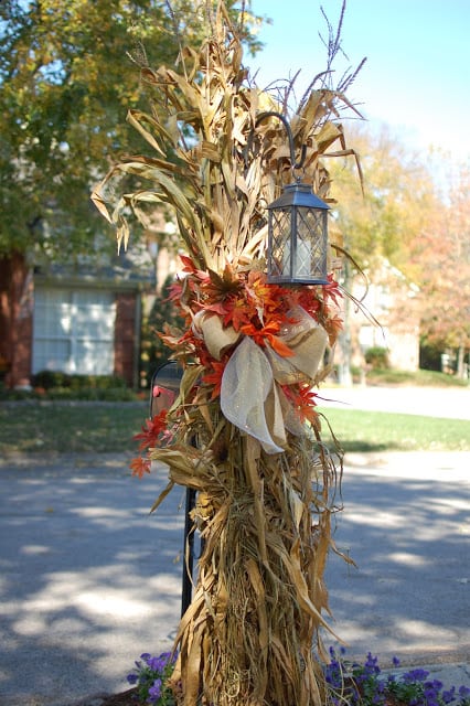 Cornstalk decor