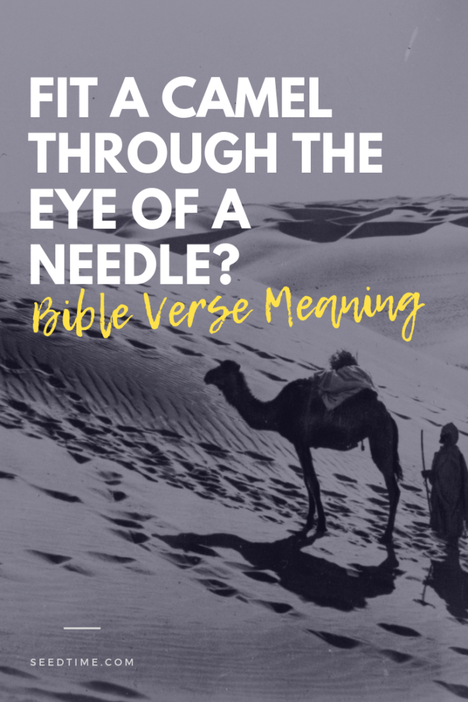 Fit a camel through the eye of a needle? [Bible Verse meaning]