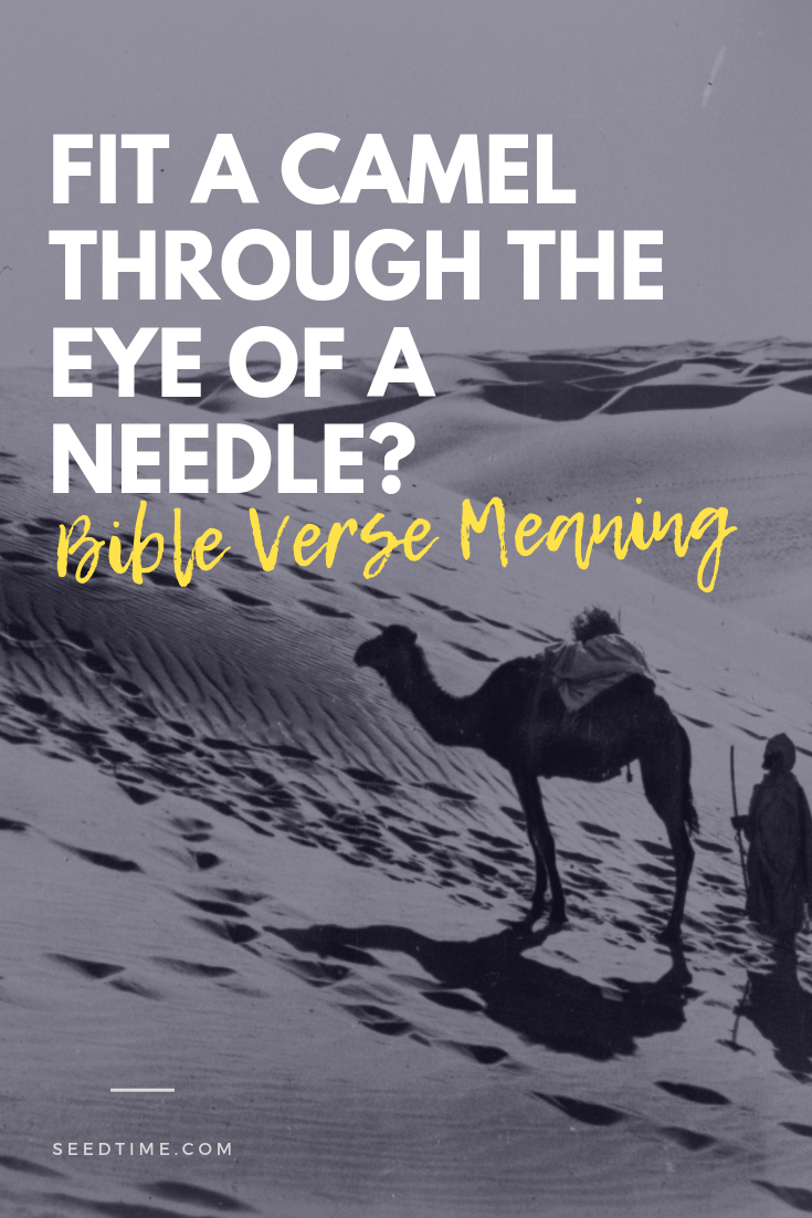 fit-a-camel-through-the-eye-of-a-needle-bible-verse-meaning