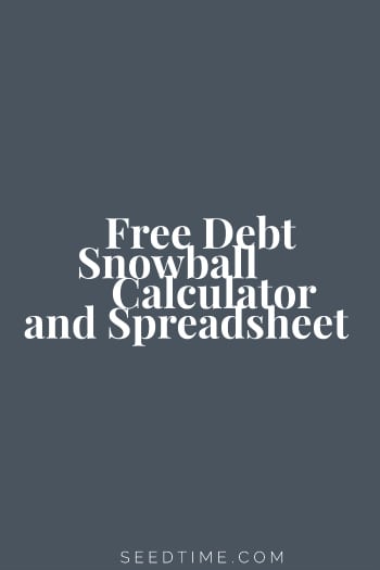 Impara come usare la palla di neve del debito (download gratuito di un Worksheet)