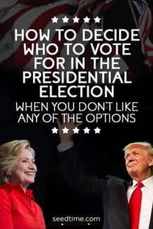 How to decide who to vote for in the presidential election