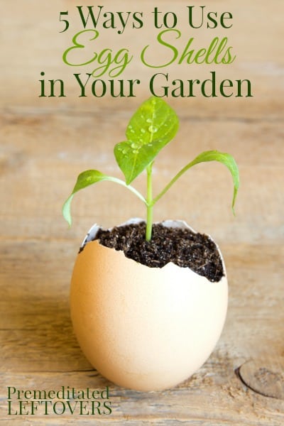 20 money-saving gardening tips