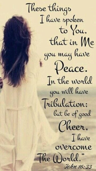 These things I have spoken to you, that in Me you may have peace. In the world you will[a] have tribulation; but be of good cheer, I have overcome the world.”