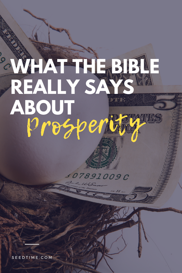 what-the-bible-really-says-about-prosperity-seedtime