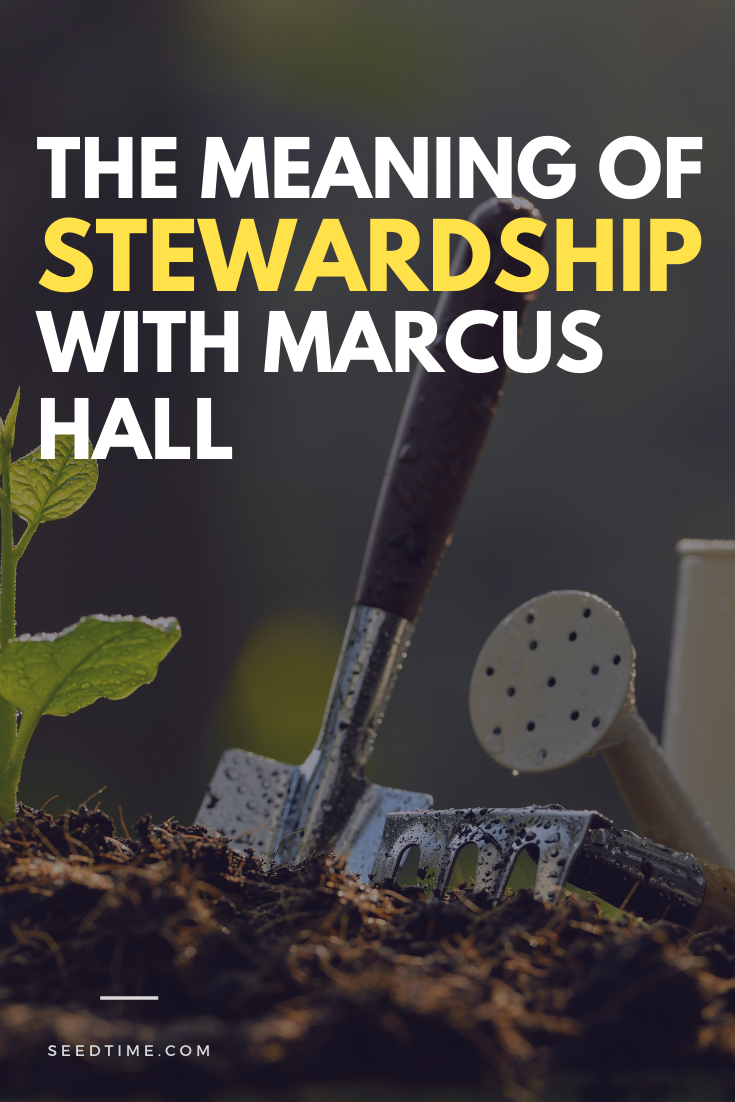 responsible stewardship meaning