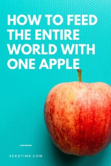 How to feed the ENTIRE world with just a single apple