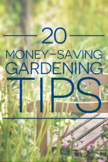 20 #gardening tips from Pinterest for those on a budget
