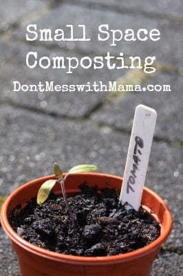 20 money-saving gardening tips