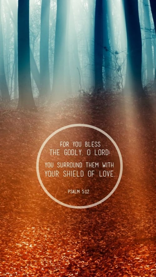 For You bless the godly, O Lord.... You surround them with Your shield of love :)