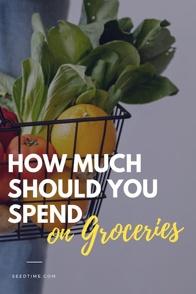 how much money should you spend on groceries
