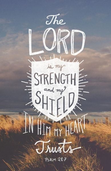 Psalm 28:7 ESV The Lord is my strength and my shield; in him my heart trusts, and I am helped; my heart exults, and with my song I give thanks to him.