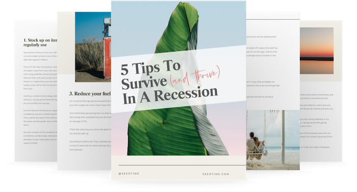 recession survival guide mockup