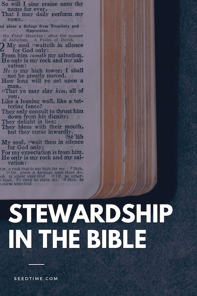 stewardship in the bible