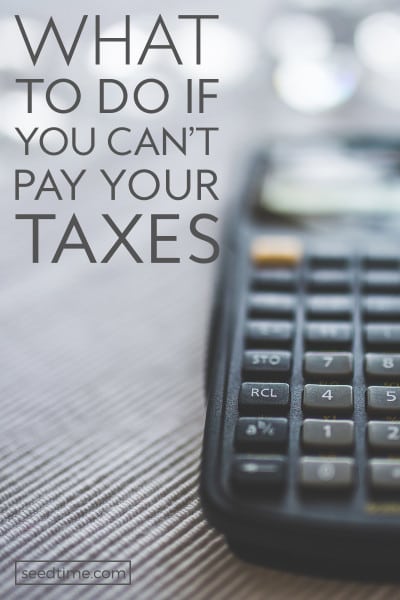 If you can't pay your taxes here's tax tips to help!