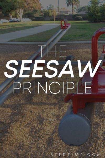 the-seesaw-principle