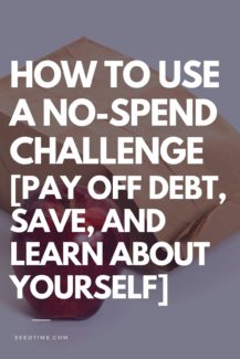 Start a No-Spend Challenge