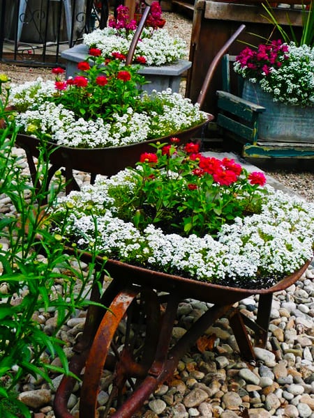 diy wheelbarrow planter